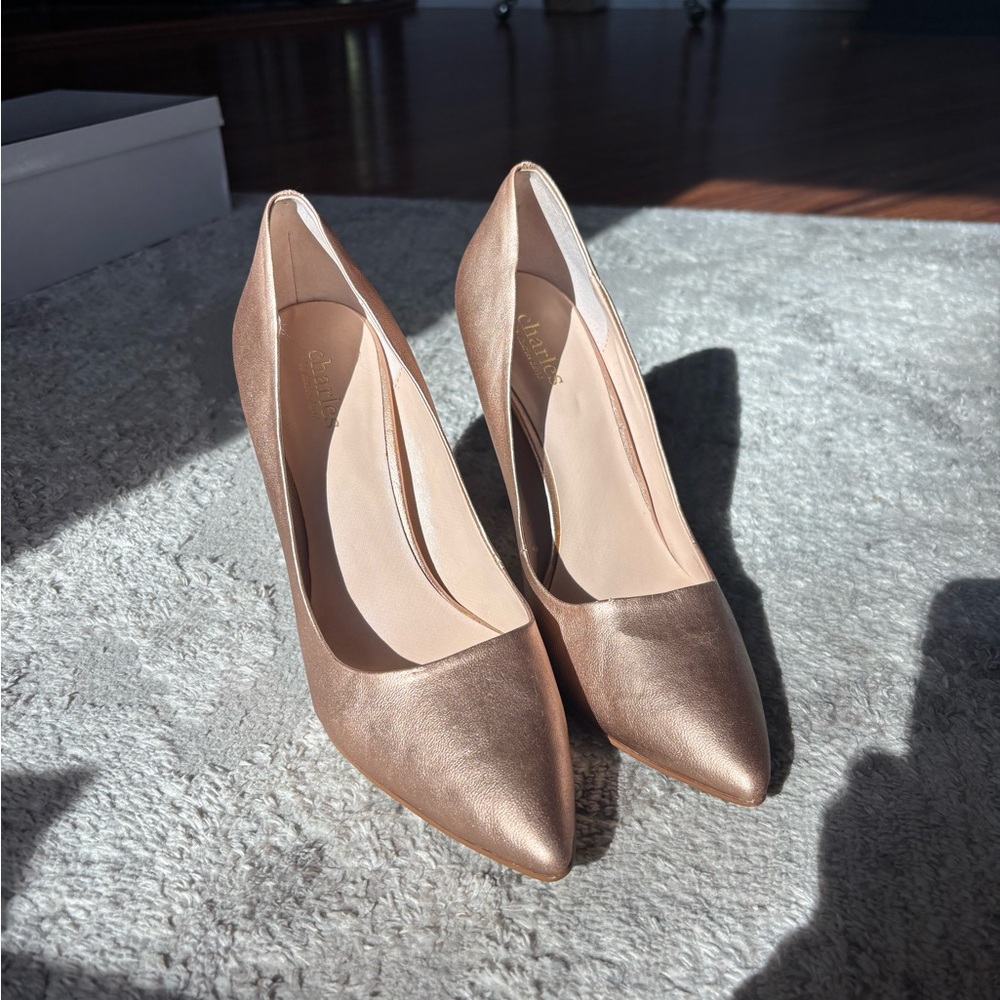 Charles David Elegant 3 1/2 inch Heels